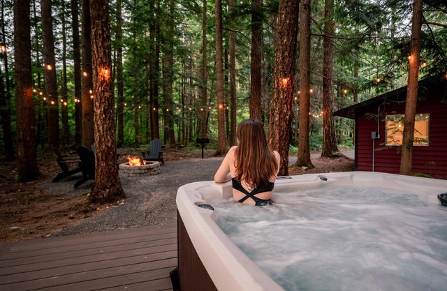 Modern Mt. Baker Cabin With NEW Private Hot Tub
