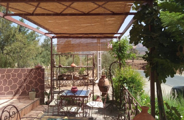 Mohatirste