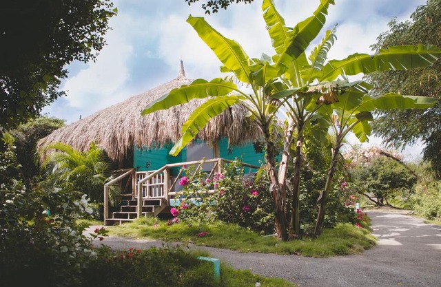 Mondi Lodge