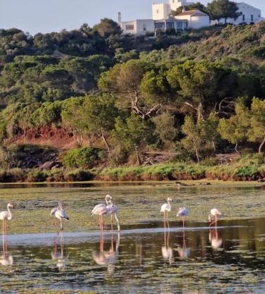 Mongofre Agroturismo