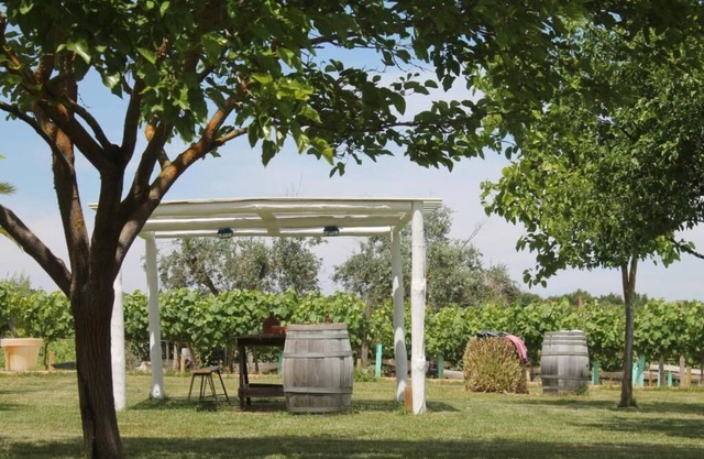 Monte das Aranhas Wine Luxury