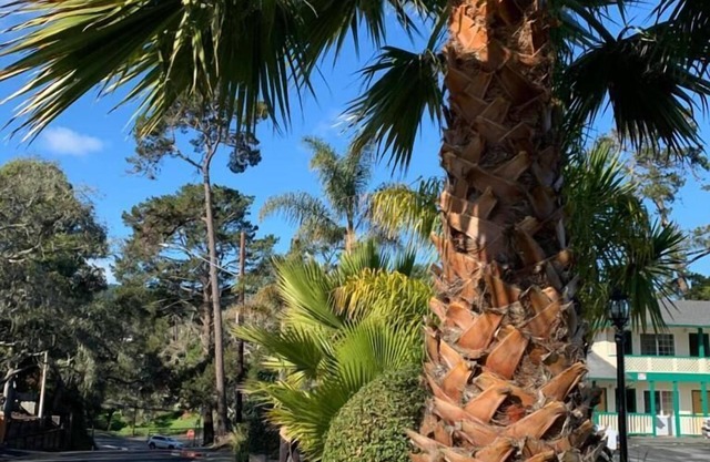 Monterey Pines Inn