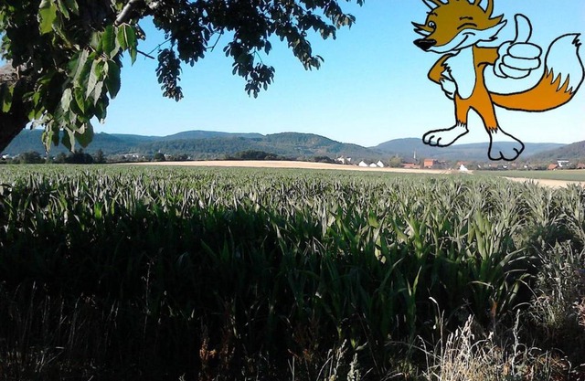 Monteurwohnung Langelsheim max 5 Personen