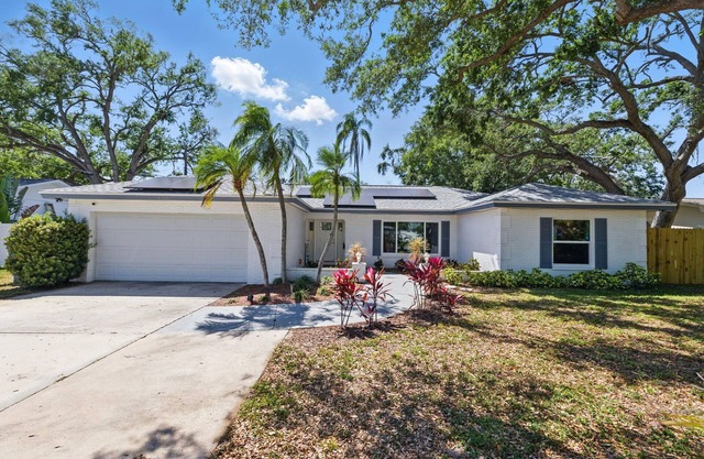 Monthly Stay Pool King Beds Fast Wi-Fi Near Beach