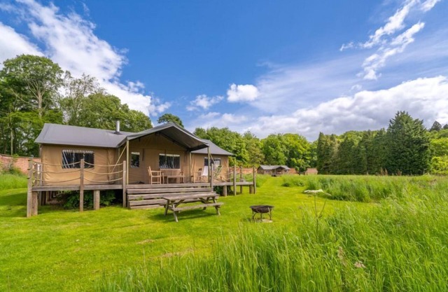 Moorhen at Exton Park, Rutland - Dog friendly