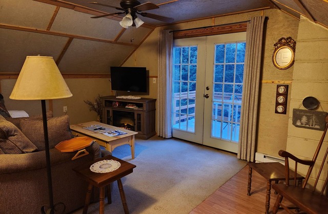 Mountain Cabin 1-BR apartment, stunning views, w/climate-controlled storage!