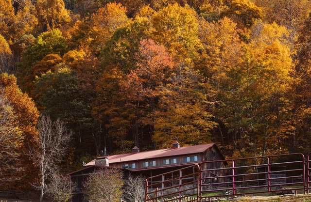 Mountain Escape! Farmhouse nestled on 130 acres with views, waterfall & hot tub!