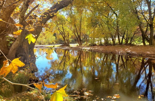 Mountain Haven - 2 King beds in Mountain Community