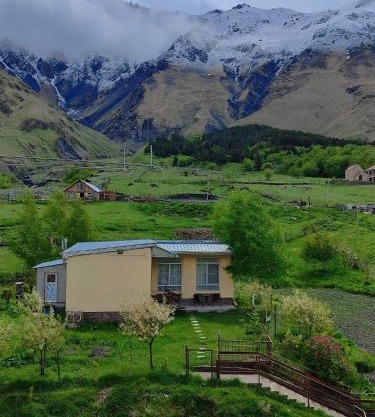 Mountain KAZBEGI Apartment
