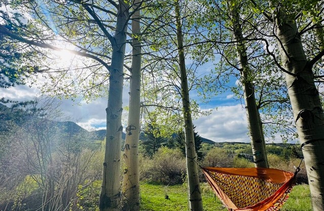 Mountain Modern Loft I Pet Friendly I Walk to Whole Foods I Skating Pond Access