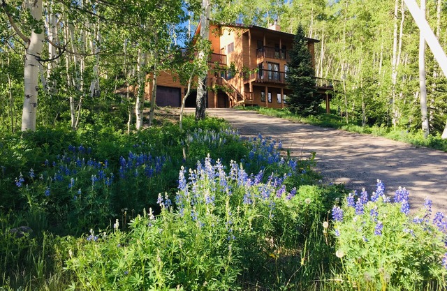 Mountain Modern- NEW- Wildflowers, backs up to Snodgrass Trail & VIEWS of Mt CB