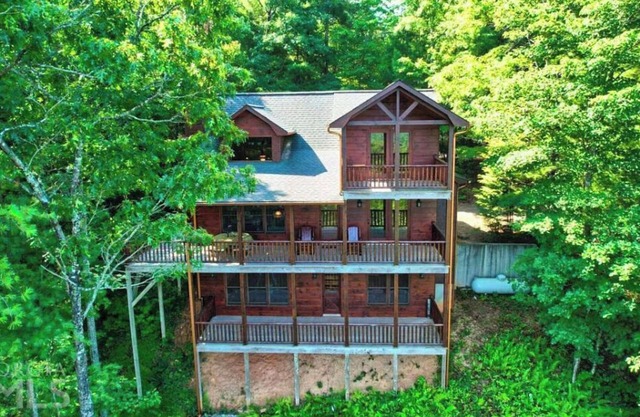 *Mountain View* Bear Pause Mineral Bluff GA - Blue Ridge GA - East TN - West NC