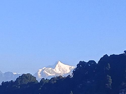 Mountain view homestay Darjeeling