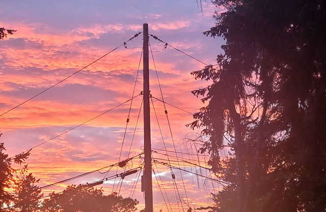 Mt. Rainier Views and Natural Light . are our Guest's Delight!
