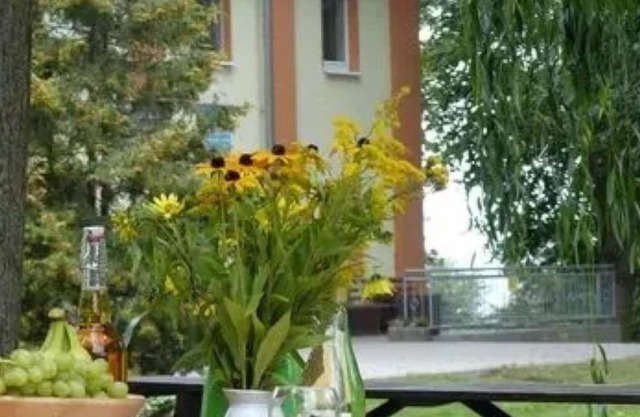 Multi-bed room for 3 guests with 14m² in Barth (126630)