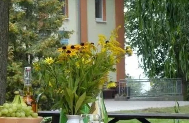 Multi-bed room for 4 guests with 13m² in Barth (126634)