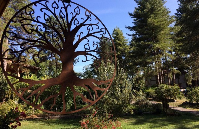 Murmures d'Arbres