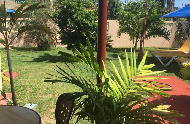 My Garden