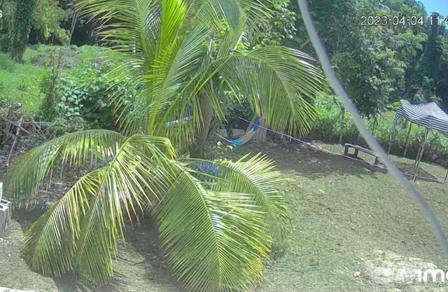 My Little Cabin In Negril 2 Bedroom Cabin by RedAwning