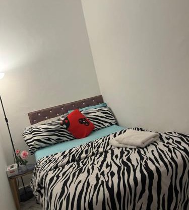 MY STAY