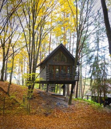 Na Skraju Lasu Domek na Drzewie & Glamping