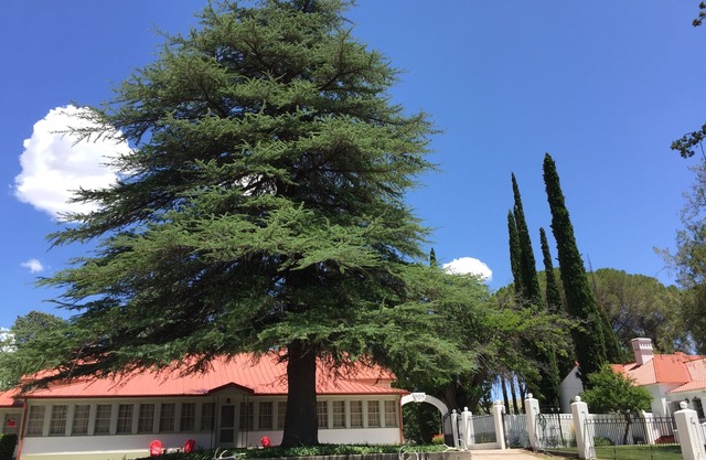 NAN Ranch - On the Magical Mimbres River of New Mexico, a Historic Retreat