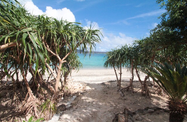 Native Sea Amami Adan On The Beach