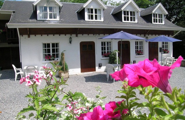 Nature Escape in Bohon
