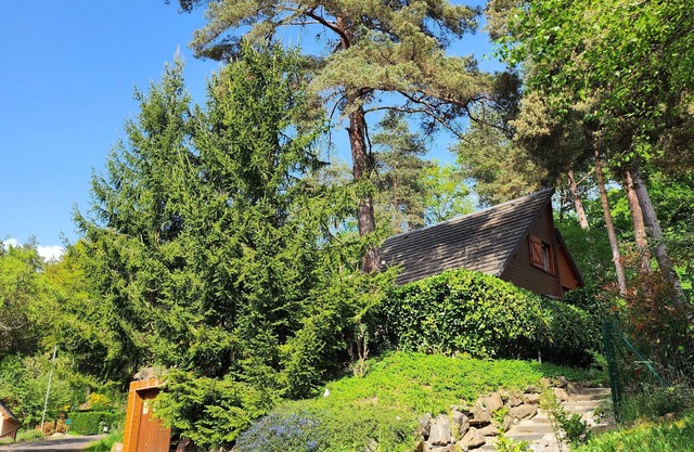 Nature & Relaxation in a Chalet a stone's throw from the Lake Bort-les-Orgues