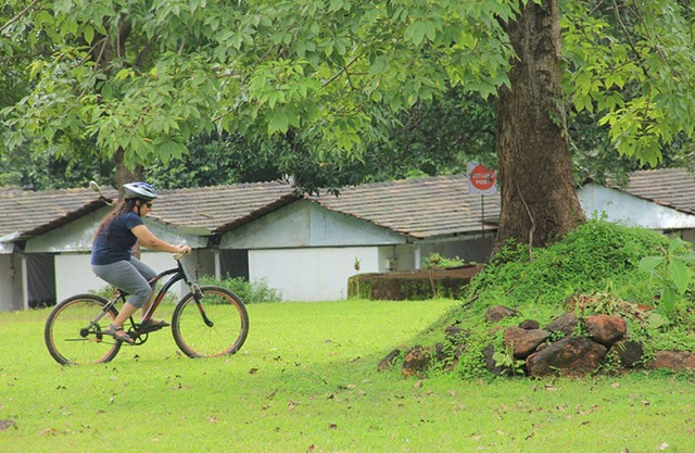Nature Trails Kundalika, Kolad