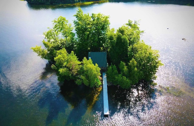Naughty Dog Private Island Log Cabin