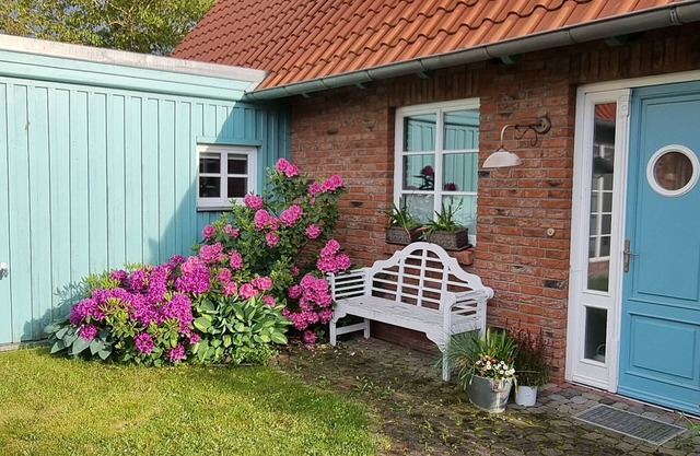 Neptun Wlan Sauna Kamin Haustiere