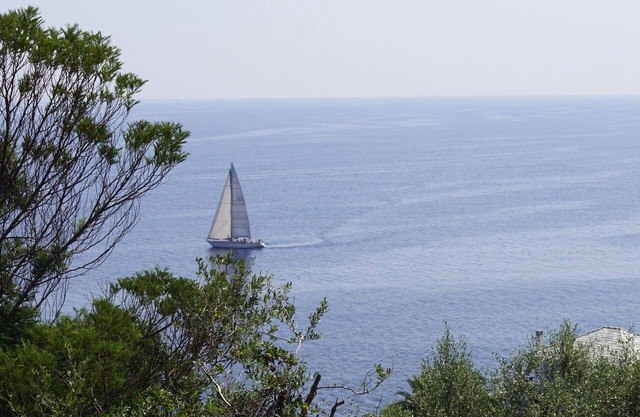 New apartment Cap Corse 2mn walk from the beach sea view