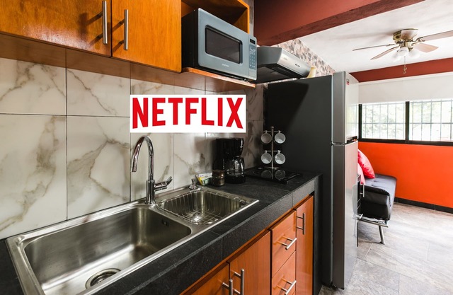New! Apt. w/mini terrace, Netflix, wine cooler, etc. .9 mi. from central sq.