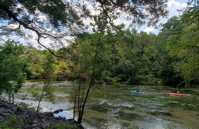 NEW! Gateway to the Guadalupe River Cabin Sleeps 1-4