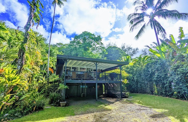 New! Hale Aloha with Ocean Views - steps to beach