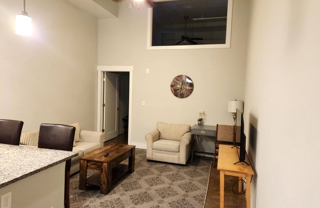 New Heart of the Arts District Condo Downtown near MCV VCU Convention Center