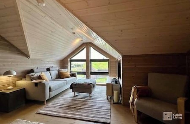 New high standard cabin with sauna at Sjusjøen