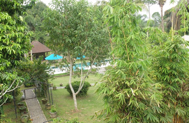 NEW Jungle Living! Ubud at its purest! Enjoy relaxation.
