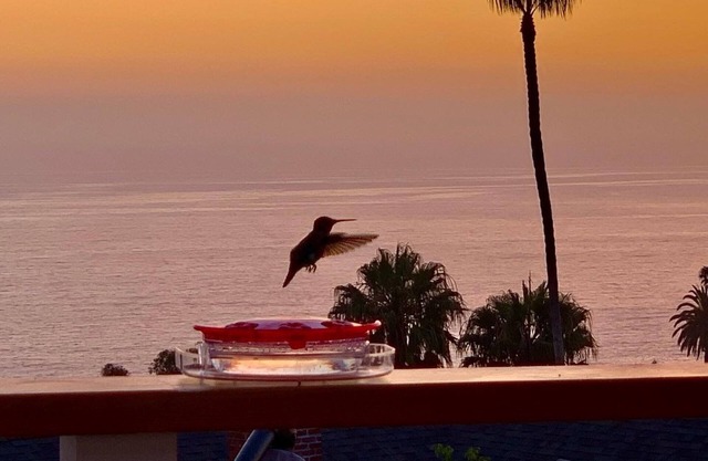 NEW Stunning Ocean Views in Quiet Laguna Beach, 4 Min Walk to Beach-JULY Special