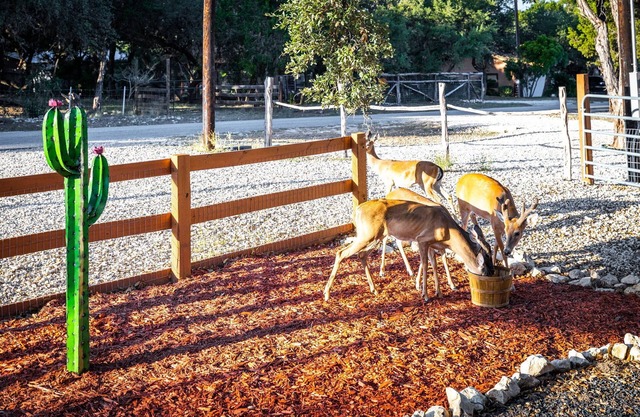 Newly Built Deer Retreat in the Texas Hill Country