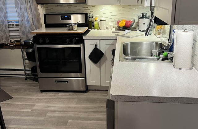 Newly remodeled 3 bedroom apt, a hidden gem 20 min to almost anyplace in Chicago