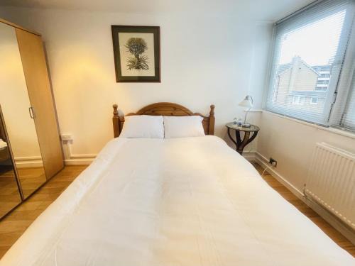 Newly Renovated 2BR Apartment in the heart of London
