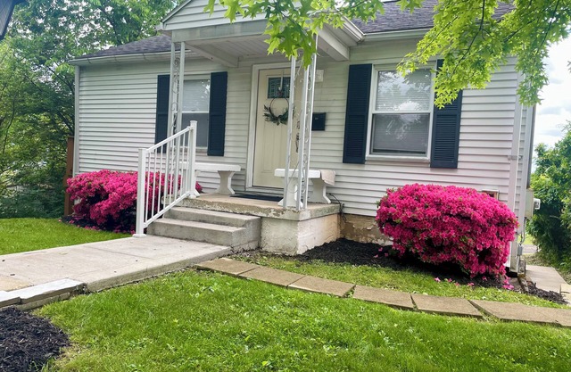 Newly Renovated Cottage near WVU Hospital, short walk to Football Stadium.
