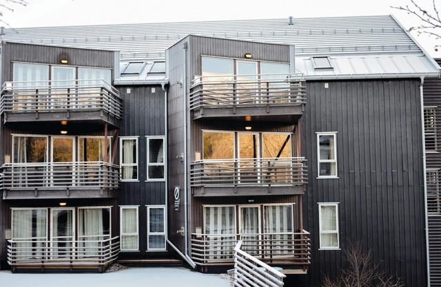 Nice apartment in Hemsedal with sauna