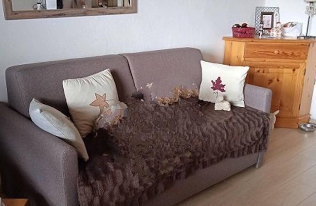 Nice studio close to the ski slopes