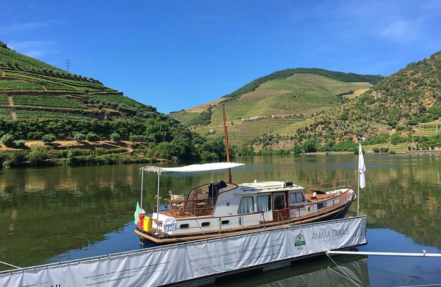 Night Experience on a Yacht in the Heart of the Douro Valley