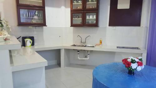 NikAishy TransitAirport A2