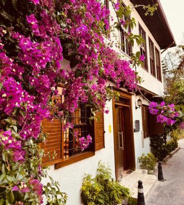 Nills Suite Villa