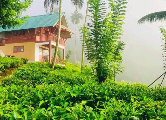 Niwahana sinharaja